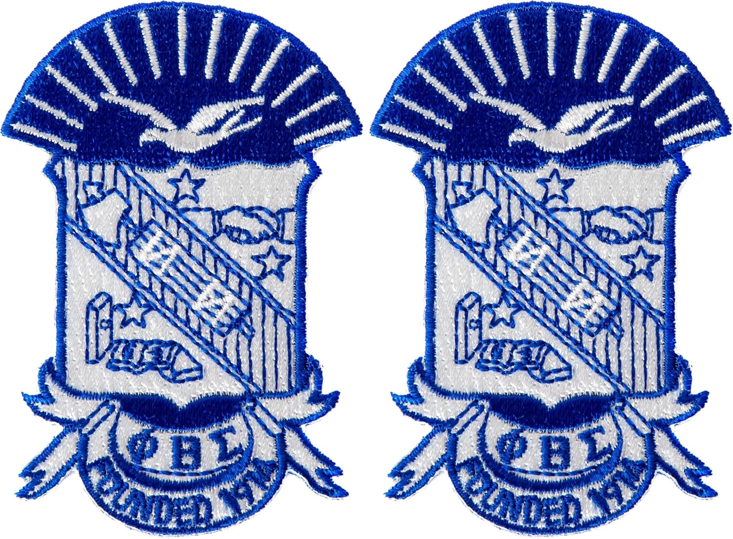 Desert Cactus Phi Beta Sigma Fraternity 2 7/8" Embroidered Appliqué Crest Patch Sew or Iron On Greek Blazer Jacket Bag Sigma (2 7/8 Crest Patch) (Pack of 2)