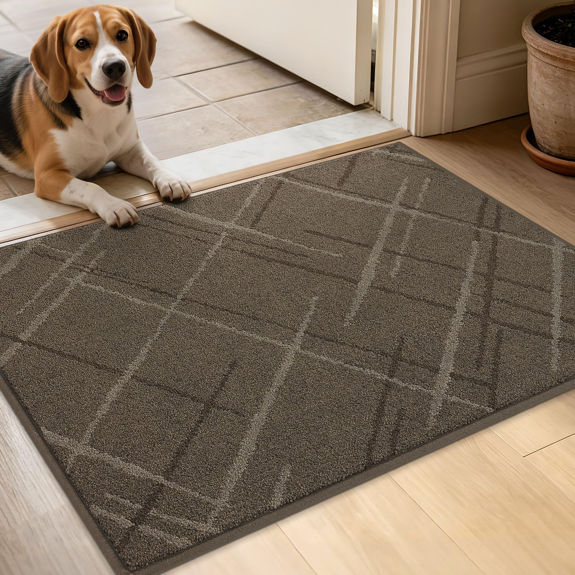 BEQHAUSE Blue Door Mat - Non-Slip Entryway Rug -21