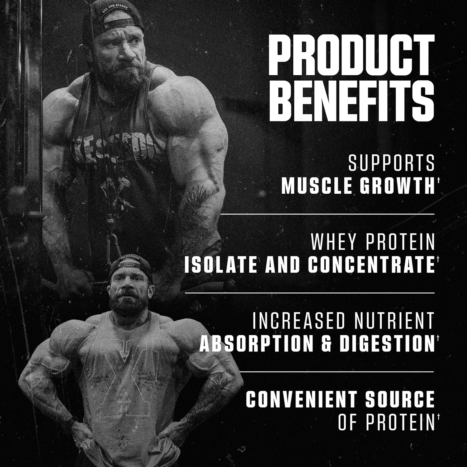 Axe & Sledge WHEY More Premium Protein Blend | 24g Protein, Whey Concentrate & Isolate | Prebiotic Fiber for Enhanced Absorption | Creamy, Delicious, Versatile | 30 Servings, Brownie Batter