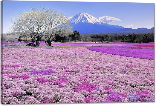 Poster Landscape Nature Large Modern Art Wall Hanging Landscape Painting Interior Flower Painting Wall Art Panel Red Fuji Photography Mountain Painting Feng Shui Entryway Wall Hanging Finished Product