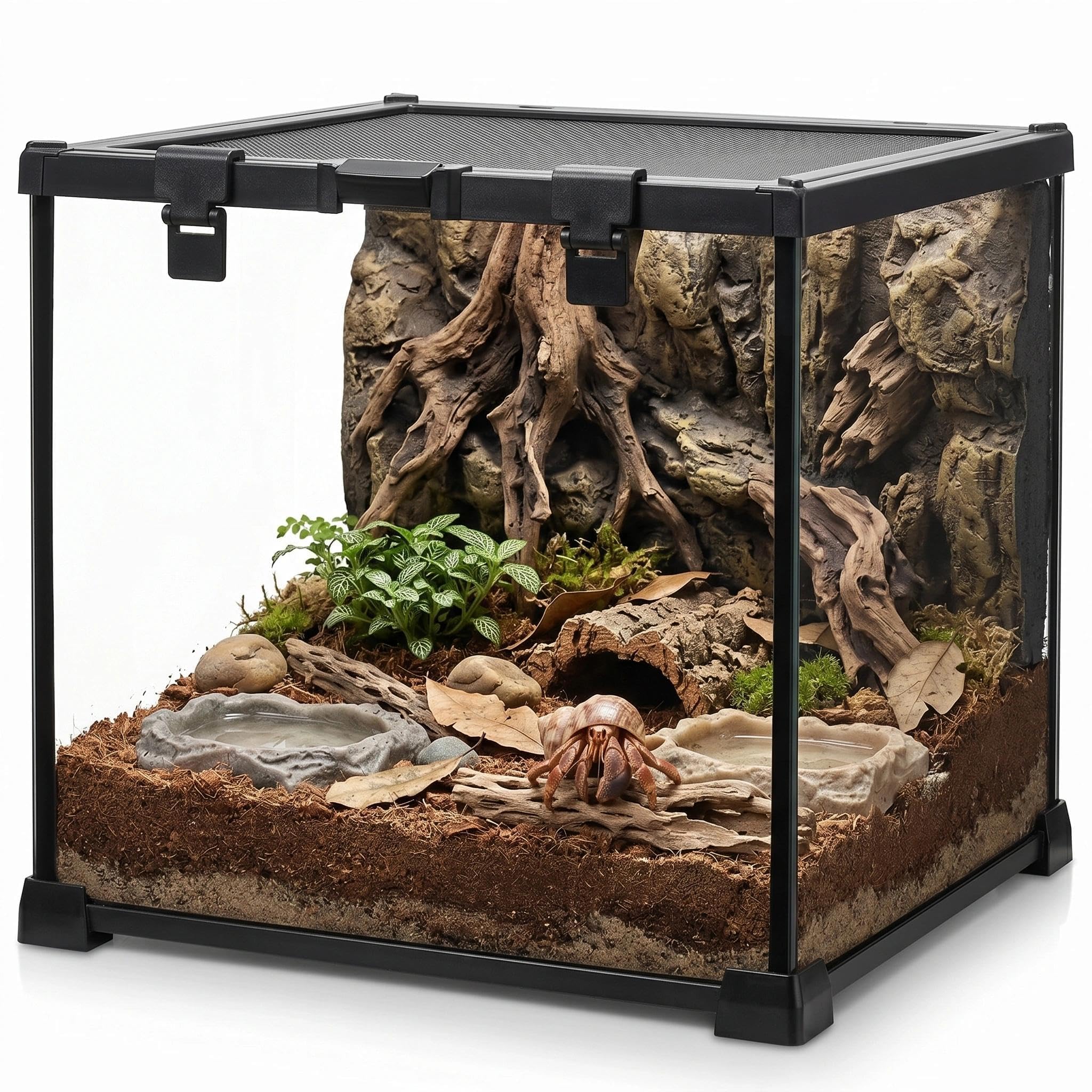 Mini terrario in vetro per rettili, 30,5 x 30,5 x 30,5 cm, a vista completa, per piccoli anfibi, gabbia per habitat in vetro, con fessura per l'alimentazione e fibbia di blocco della scatola