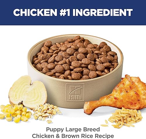 Miniatura 3 de Hill's Science Diet Alimento para cachorros de raza grande, DHA para apoyar el desarrollo saludable, alimento seco para perros con pollo y arroz