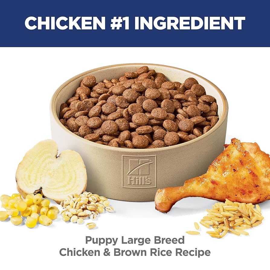 Amazon.com: Hill's Science Diet Puppy, Large Breed Puppy