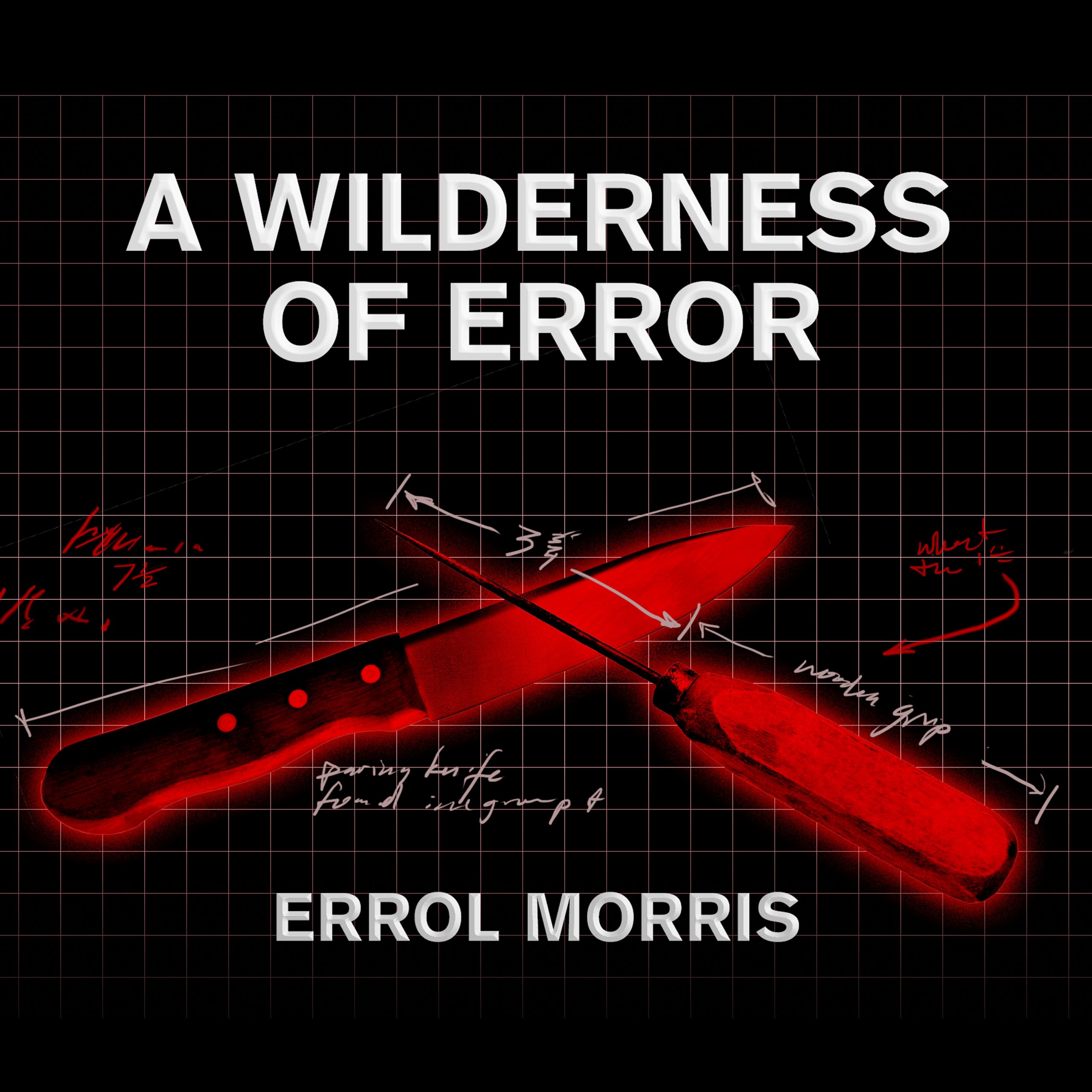 Cover art for A Wilderness of Error