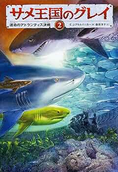 91o90y-RzRL._AC_UF350,