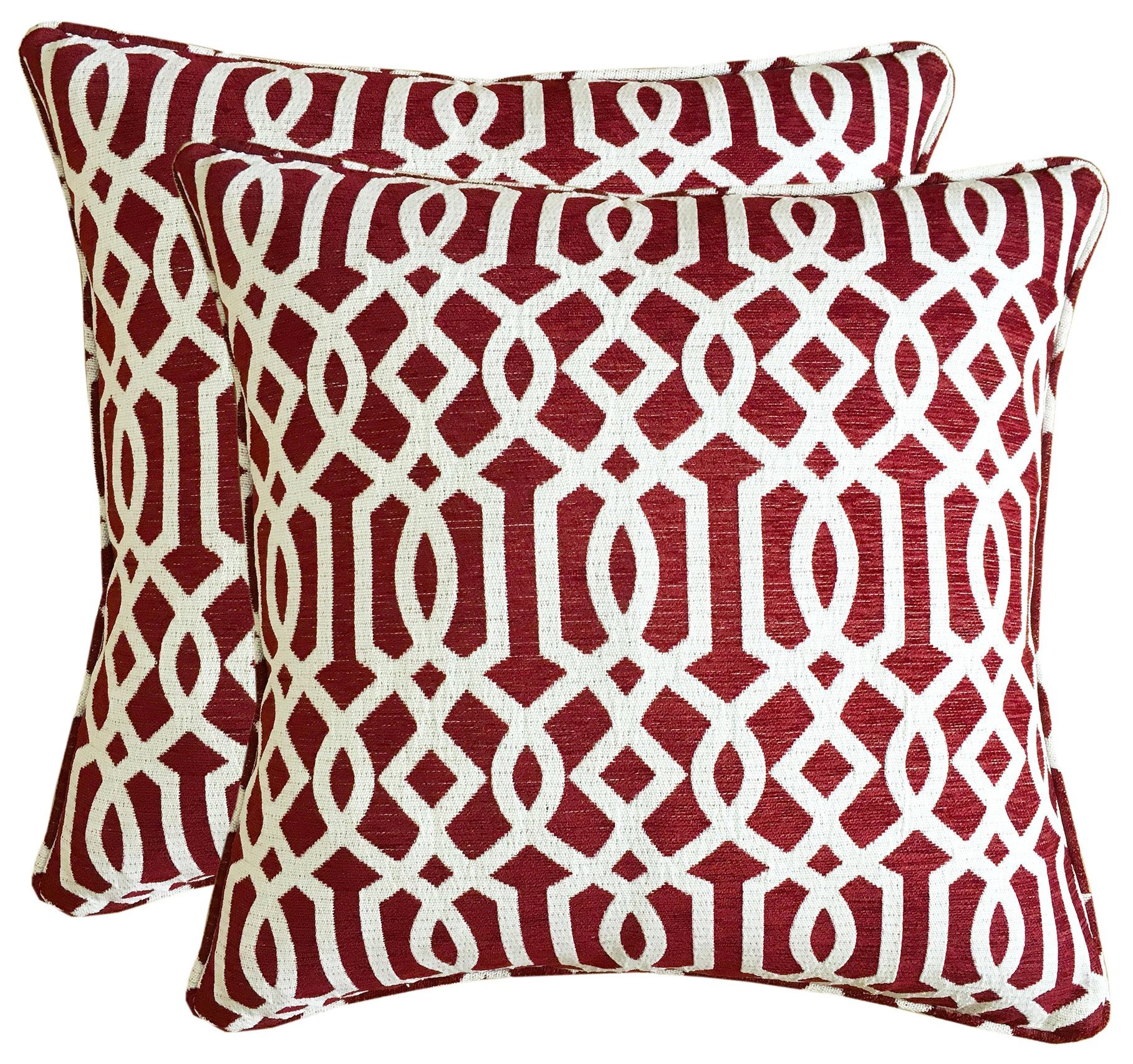 downluxe Square Decorative Feather and Down Throw Pillows,20x20  Inches,Pillow Covers and Inserts,Set of