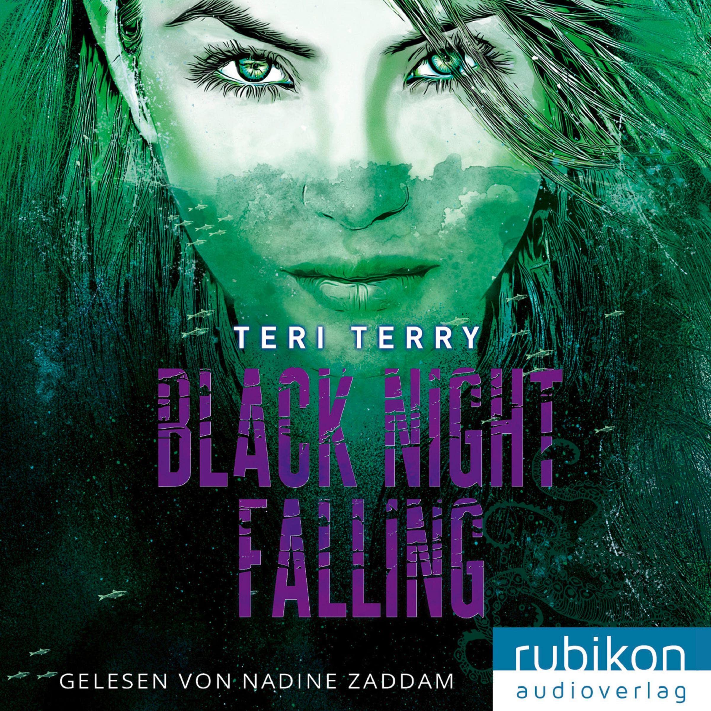 Cover art for Black Night Falling (German Edition)