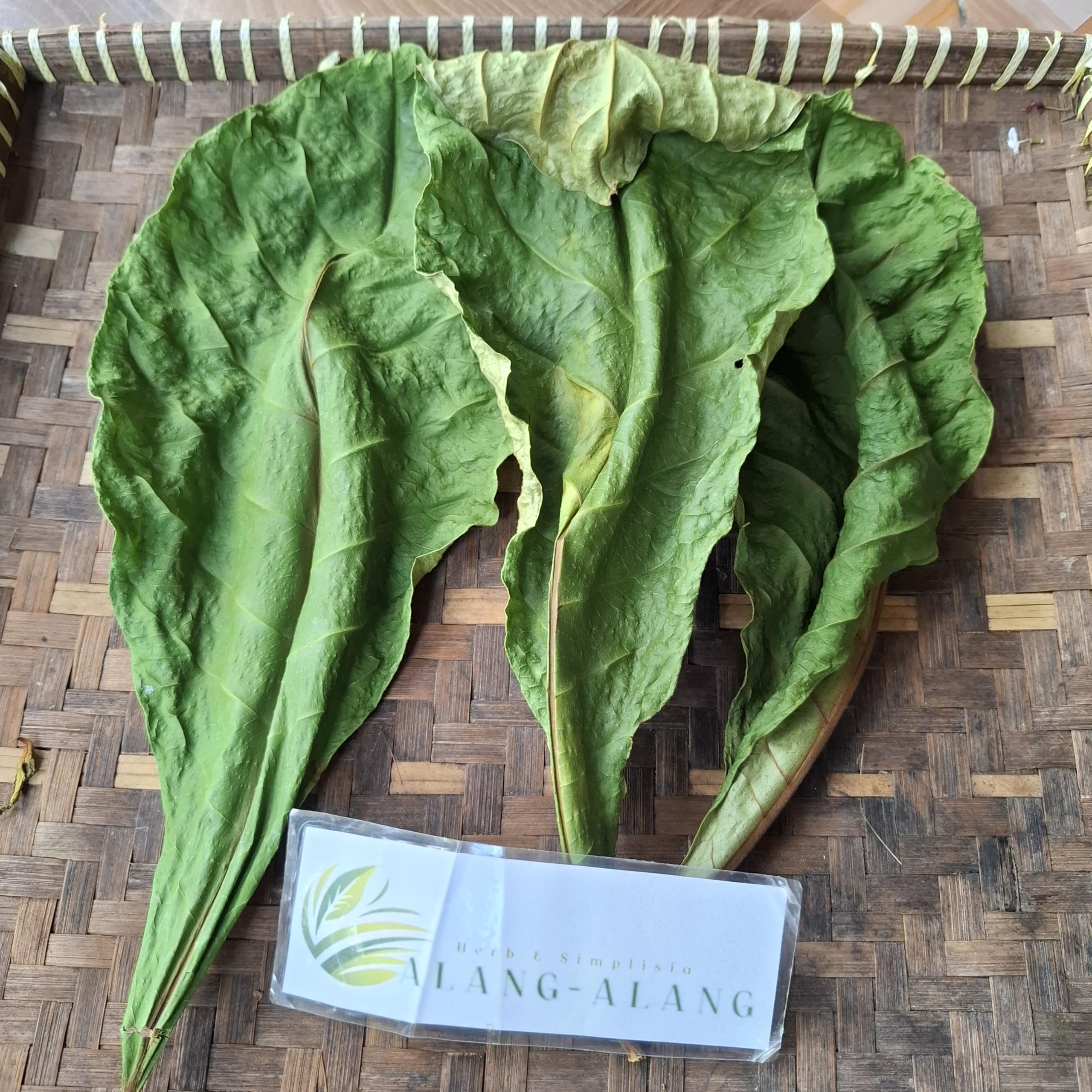 Amazon.com: Daun Ketapang (Terminalia Catappa) Indian-almond Dried Leaves  (900 Gram) : Grocery & Gourmet Food