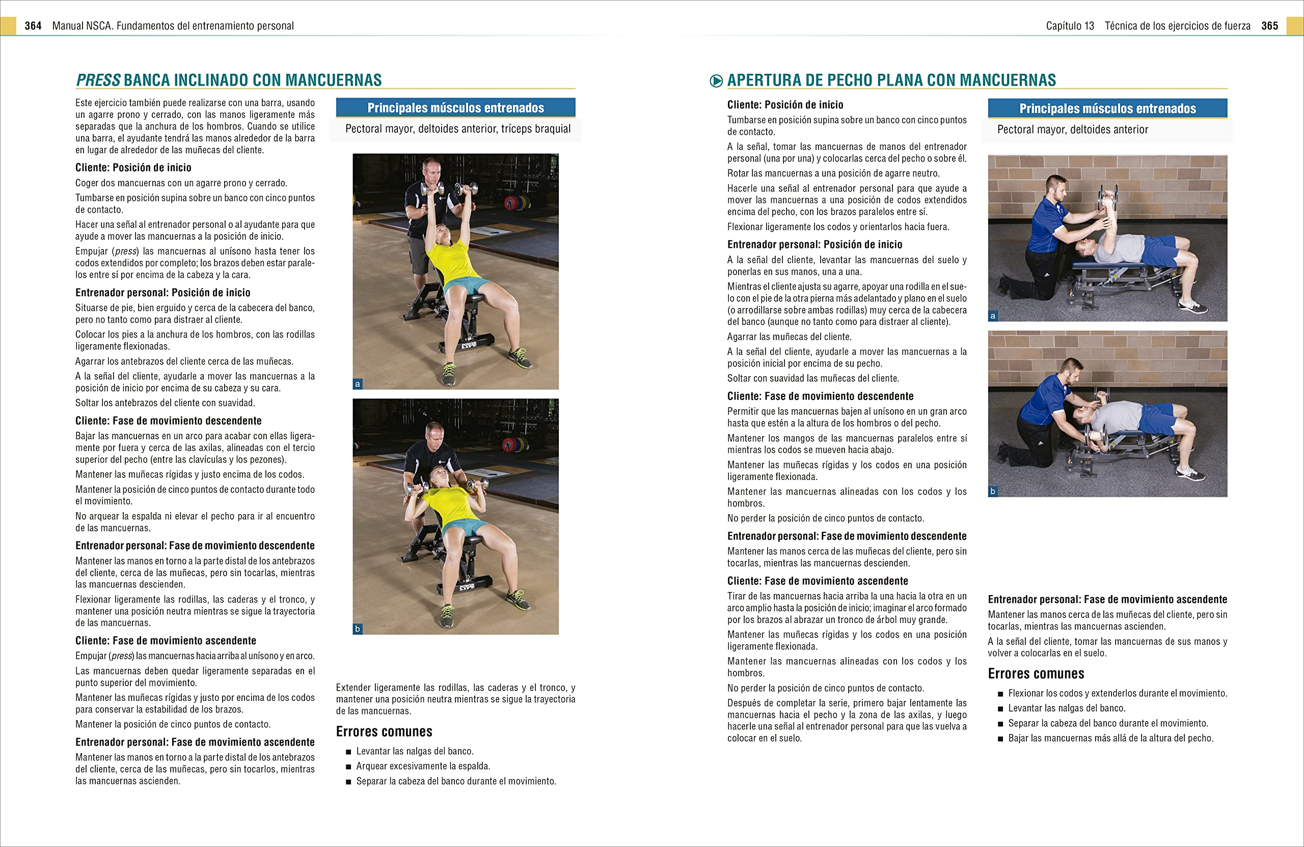 Manual NSCA. Fundamentos del entrenamiento personal. Tercera edición (SIN COLECCION)