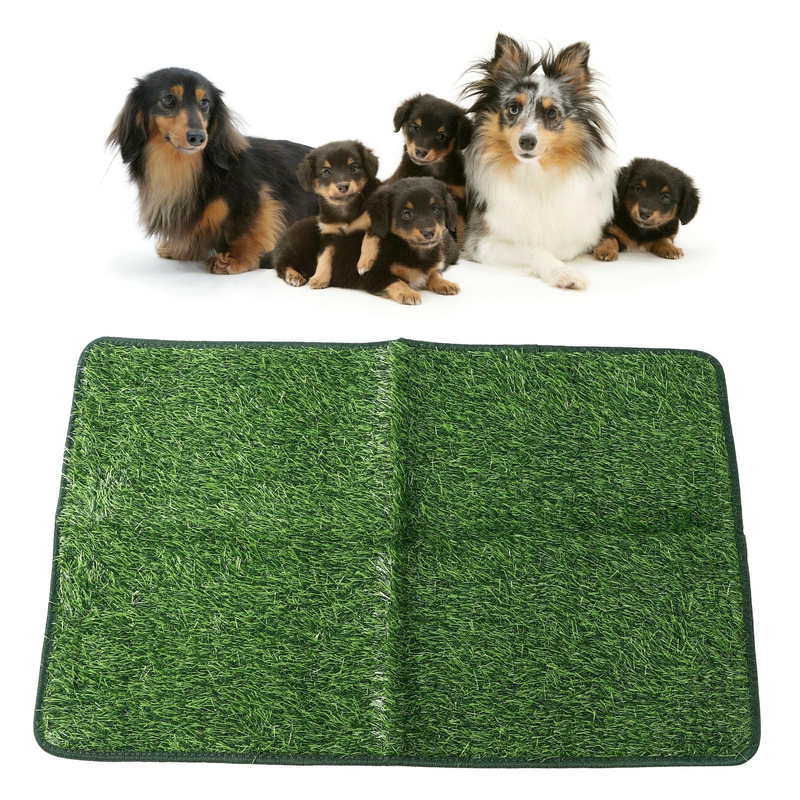 Plaspads voor honden gras | Kunstmatige Puppy Training Mat | Puppy Training Gras Tapijt, voor Huisdier Ouders Drukke Professionals Kooi Krat Slaapbank Slaapkamer Woonkamer Studie Tuin Thuis Kantoor