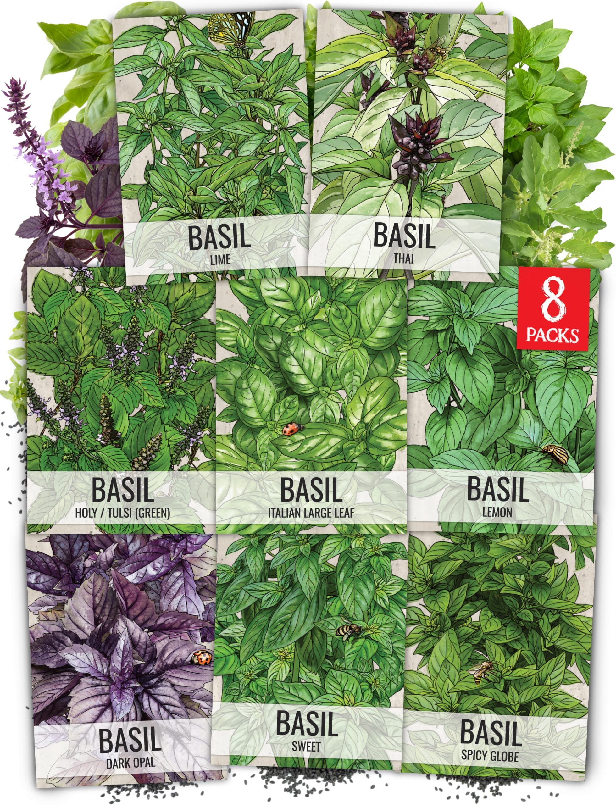 Seed Needs Basil Seeds Variety Pack of 8 Herbs for an Indoor Outdoor Garden
