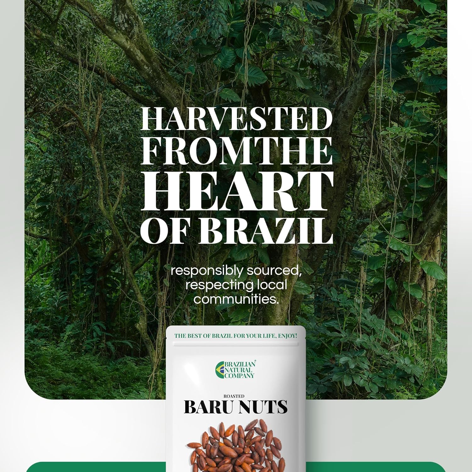 Baru Nuts Kit, 20 oz – Rich in Vitamins and Minerals – Natural Source of Energy and Well-Being – Whole, Plant-Based – No Added Gluten, Sugar or Sodium – Brazilian Natural Company