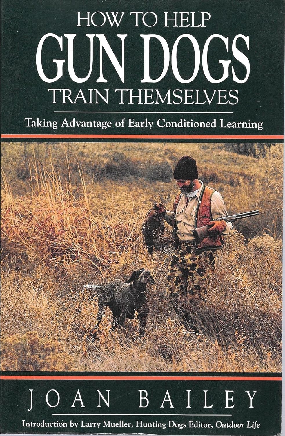 How to Help Gun Dogs Train Themselves Taking Advantage of Early