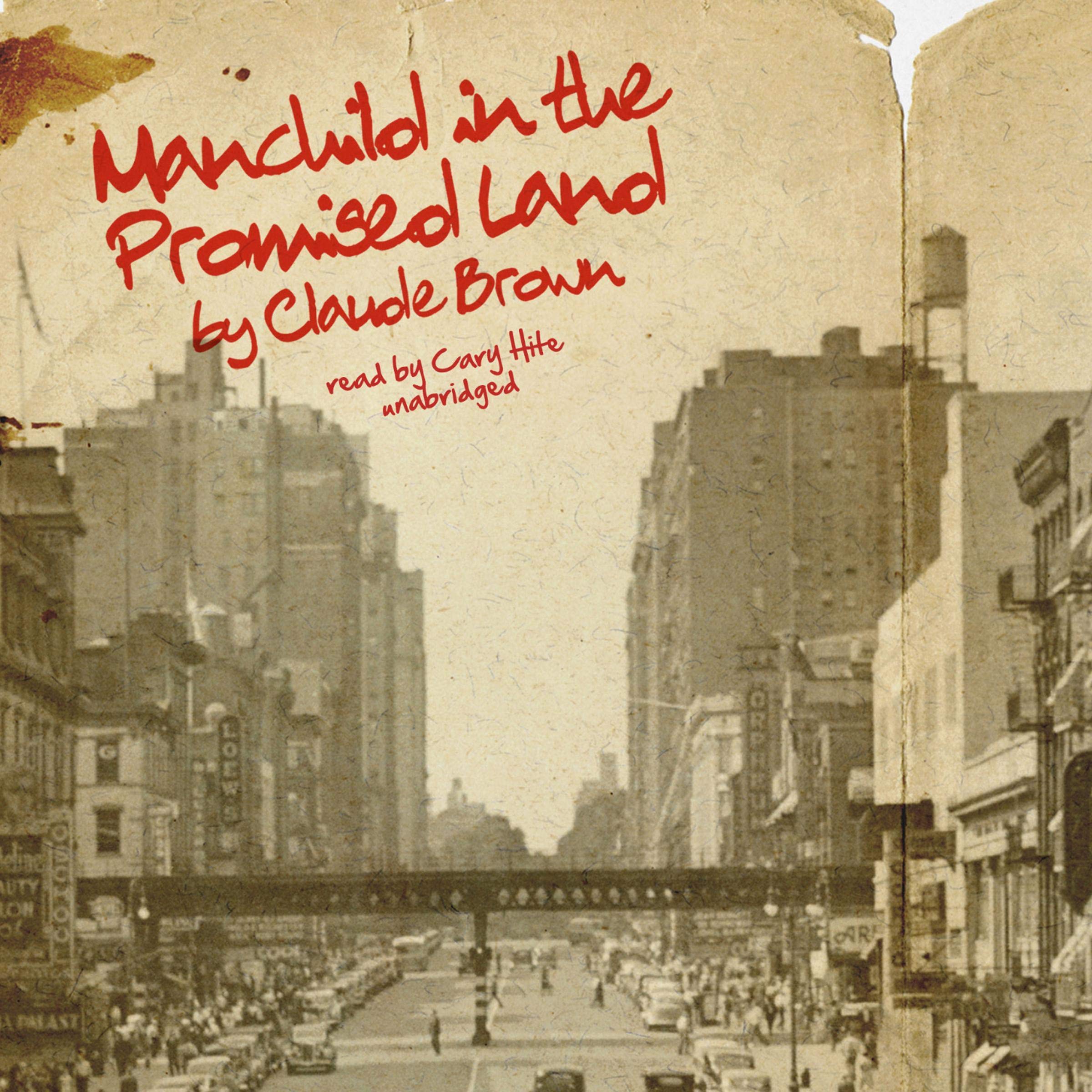 Cover art for Manchild in the Promised Land