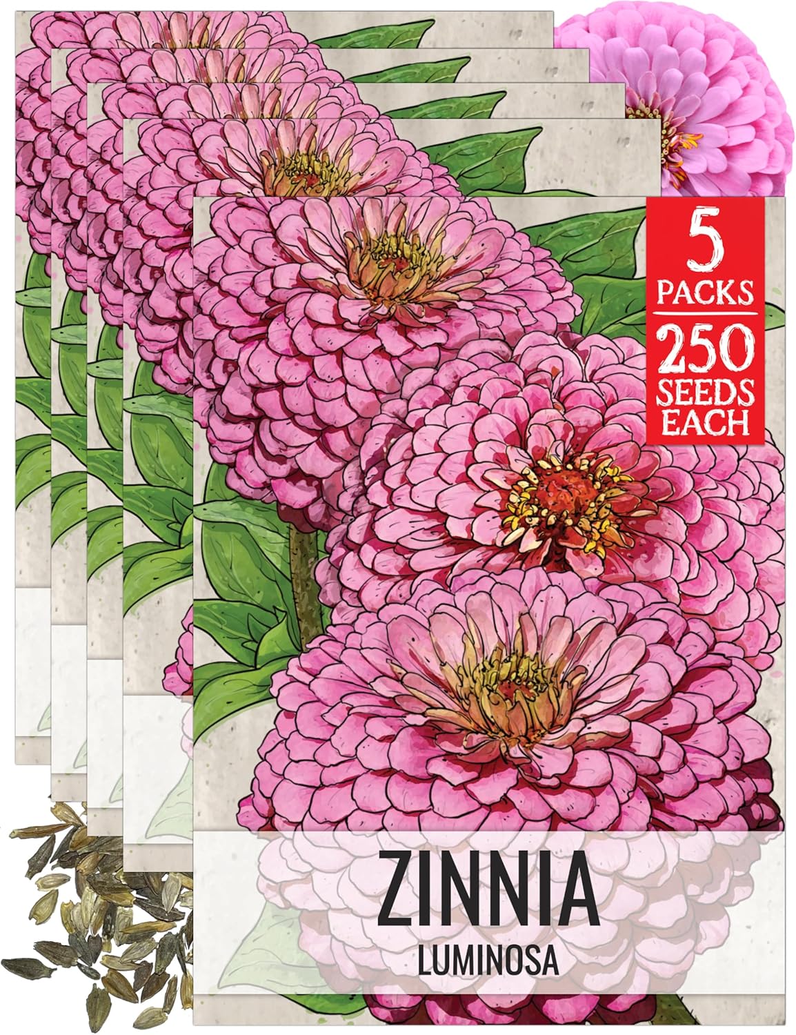 Seed Needs Purple Zinnia Seeds for Planting Violet Queen Zinnias - Heirloom & Open Pollinated Annual Cut Flowers for a Butterfly Garden (10 Packs)