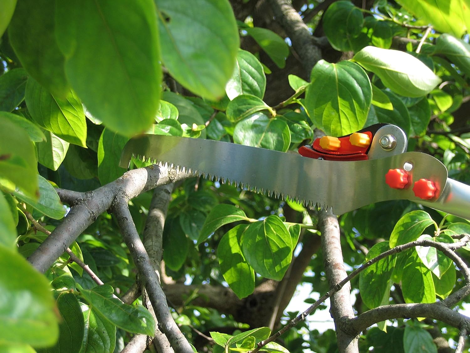 ホシノ 高枝切りはさみ(鋸刃・スプレー缶取りつけ付)