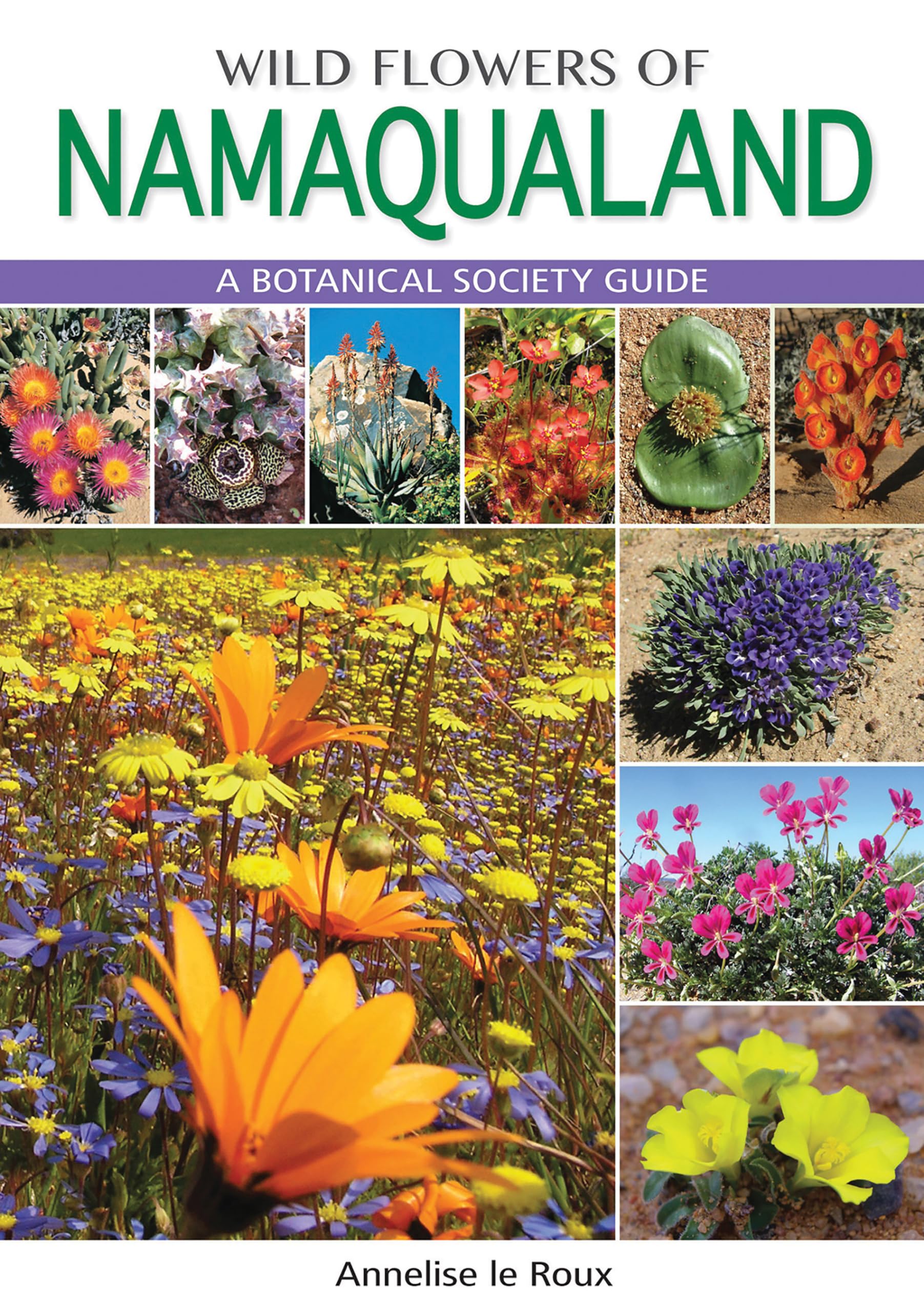 Namaqualand: South African Wild Flower Guide 1: A Botanical Society guide
