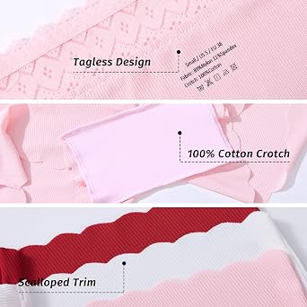 Womens BoyShorts Underwear Lace High Waisted Seamless Panties No Show Full Coverage Ladies Boxer Briefs 5 Pack