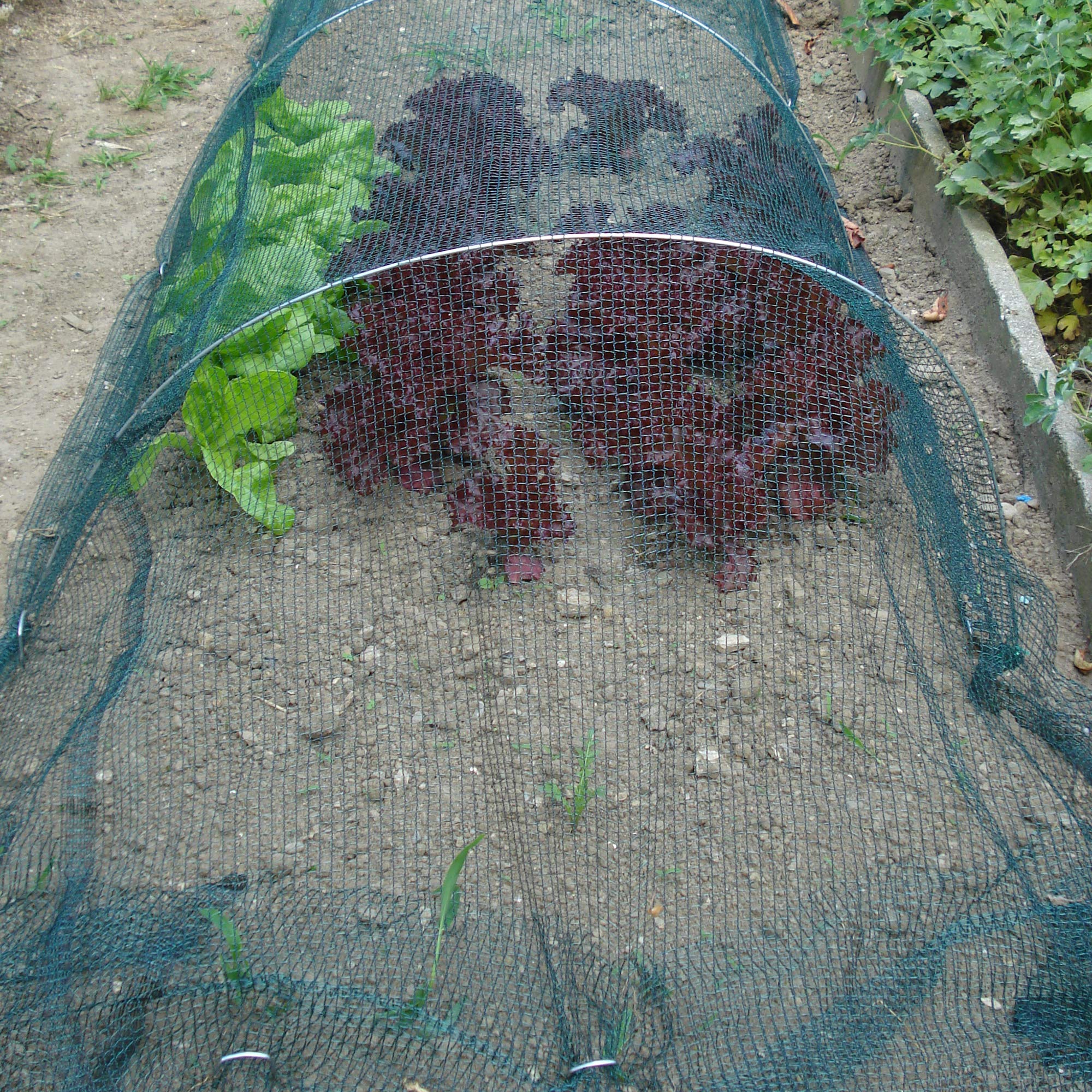 TENAX Defender 4,00x10 m Verde, Malla Antigranizo, Malla Tejida para Proteger contra el Granizo los Cultivos y los Frutos