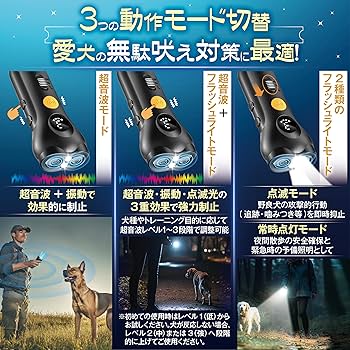 いし犬 価格の安いMIX犬（父：チワワ 母：ヨーキー）♀極小！！入舎時