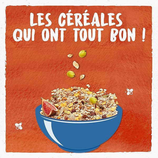BJORG - Muesli Bio Sans Sucres Ajoutés - Raisin, Figue, Datte, Abricot - Aux Céréales Complètes - Sachet 750 g - 4