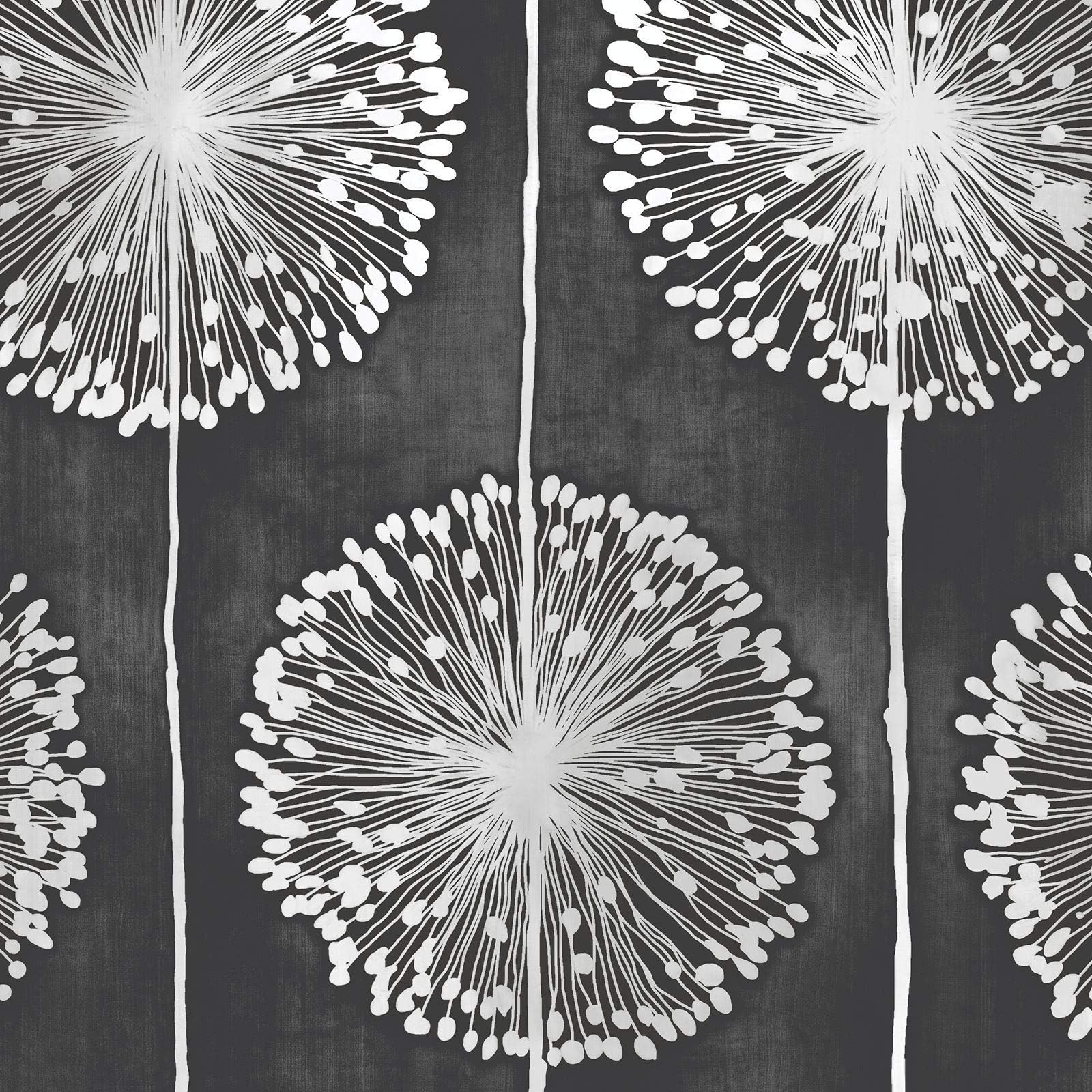 Dandelion Wallpaper Colour: Black