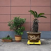 Vista 8 de KD Muebles Dolly, 300Lbs, Rectángulo: 20"x16", por, Multicolor