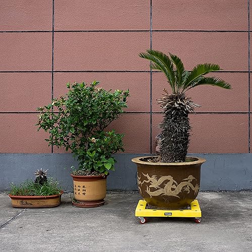 Miniatura 8 de trimate KD Muebles Dolly, 300Lbs, Rectángulo 20"x16", por, Multicolor