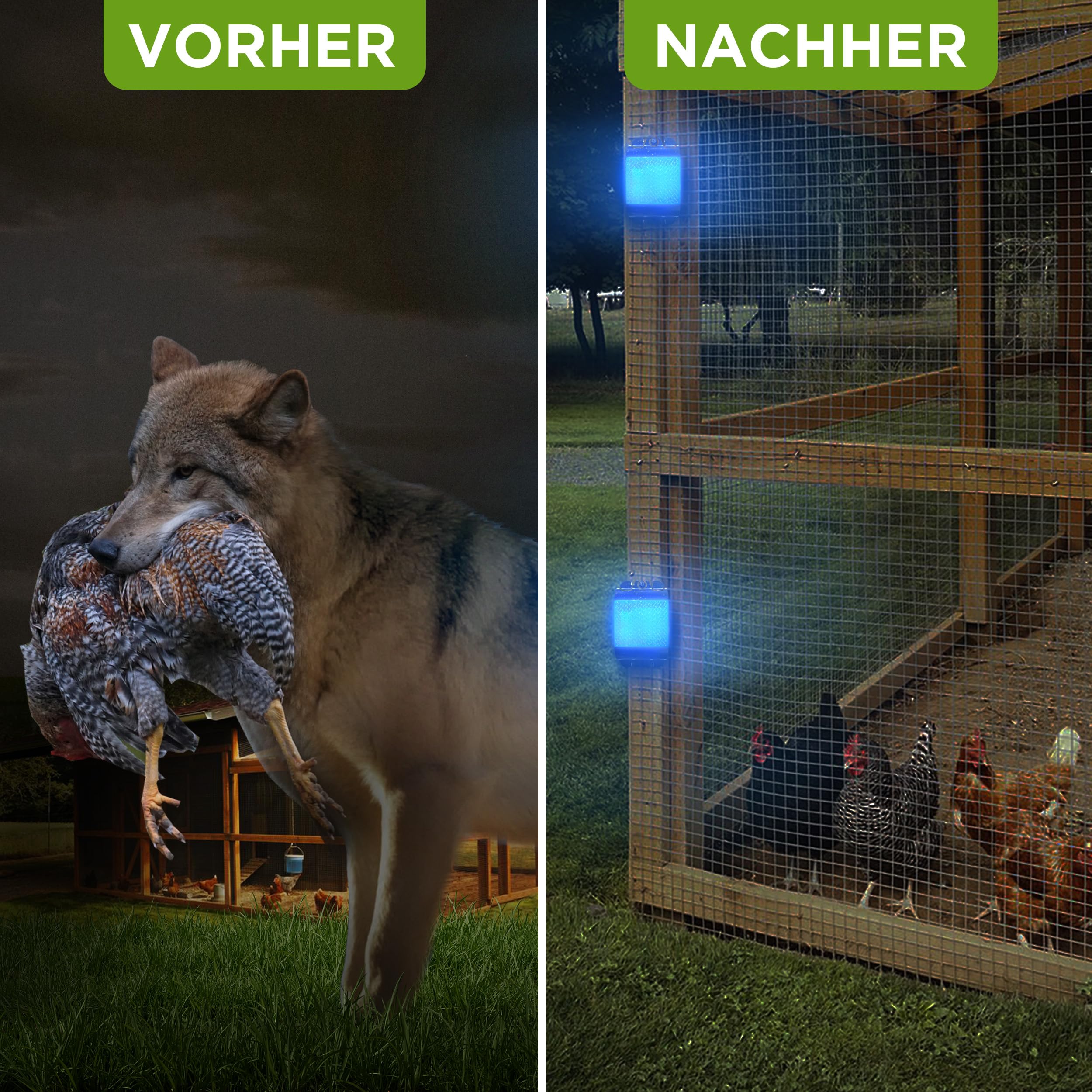 ISOTRONIC Tiervertreiber zur Abwehr von Waschbären, Rehen, Füchsen & Wildschweinen – Wildtier Vertreiber mit blauem LED-Licht – effektive Tierabwehr mit 40m² Wirkungsbereich (6 Stück)
