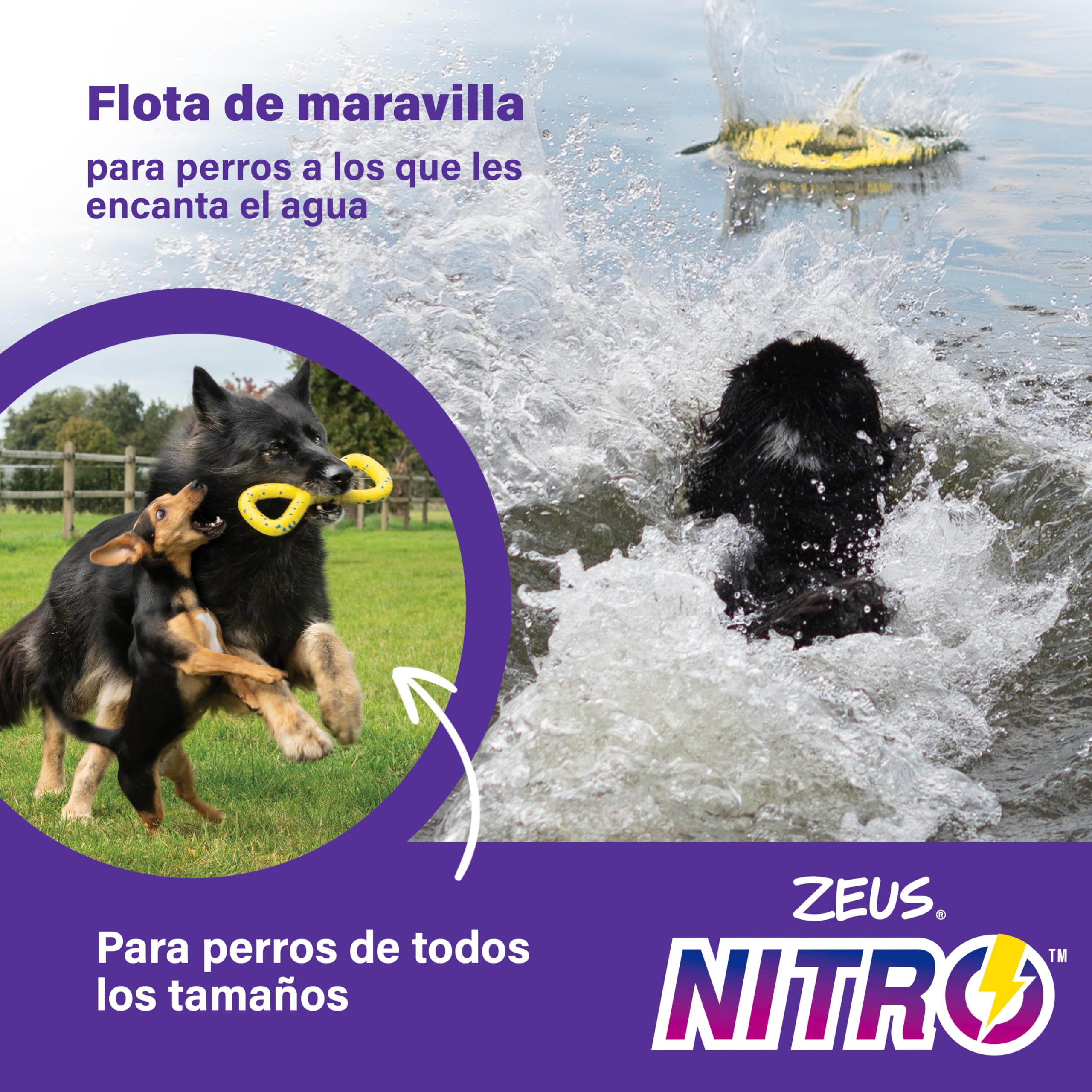 Zeus Disco Ligero y Resistente para Perros Nitro, 24 cm diámetro