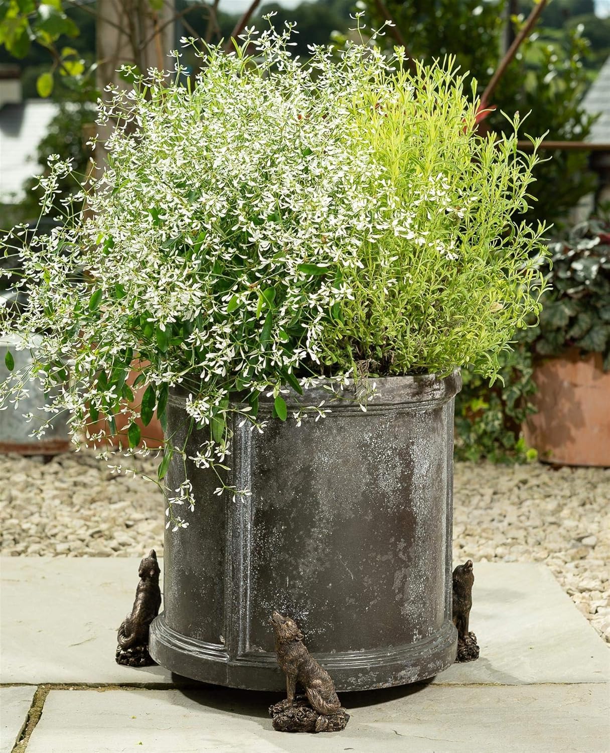 Potty Feet Wolf Figures Plant Pot Feet Planter Riser - Pot Support Feet - Handmade Yard Art Ornaments - 3pcs