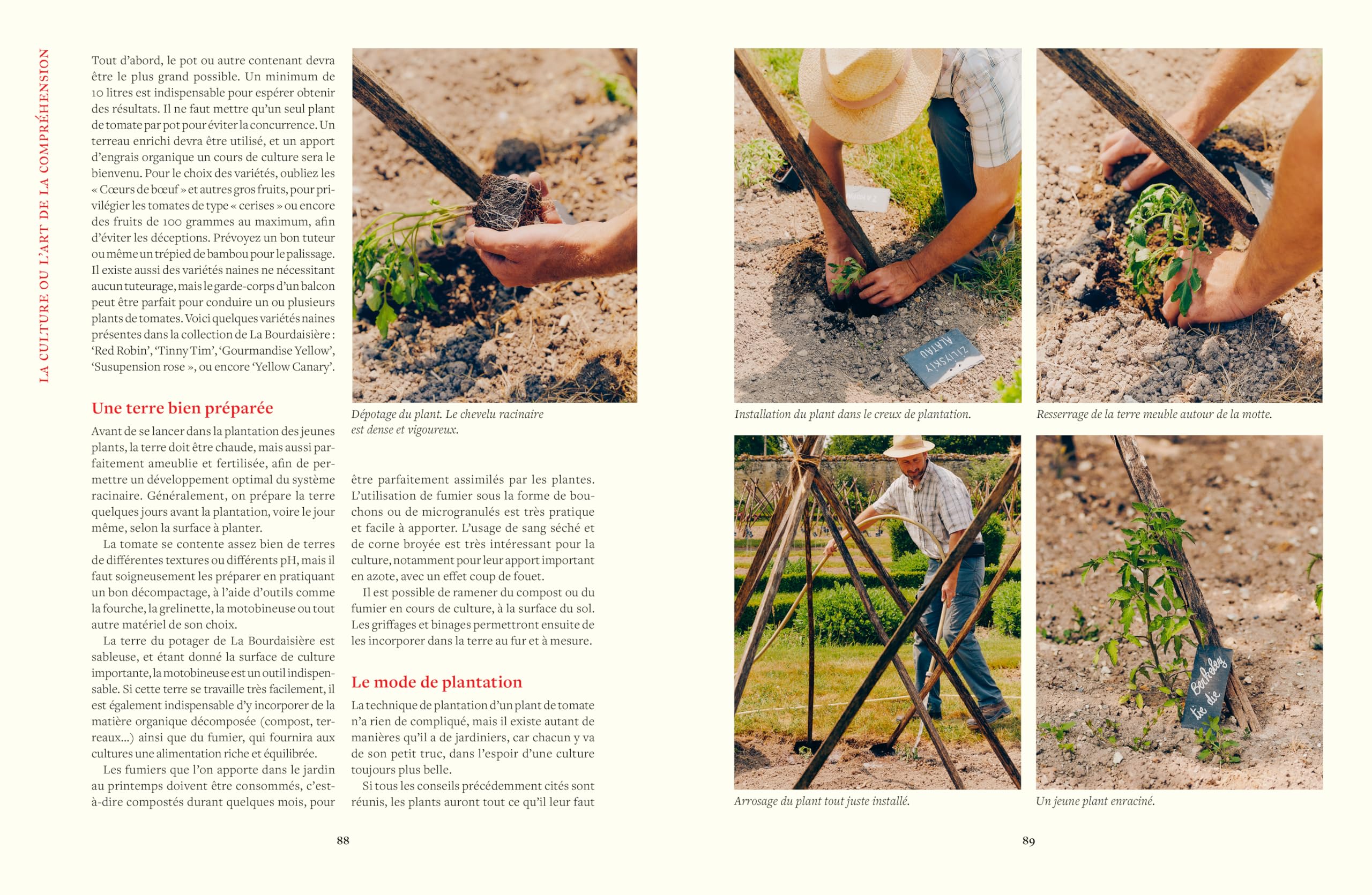 Le Conservatoire de la Tomate - Savoir-faire de La Bourdaisière · 50 variétés à cultiver
