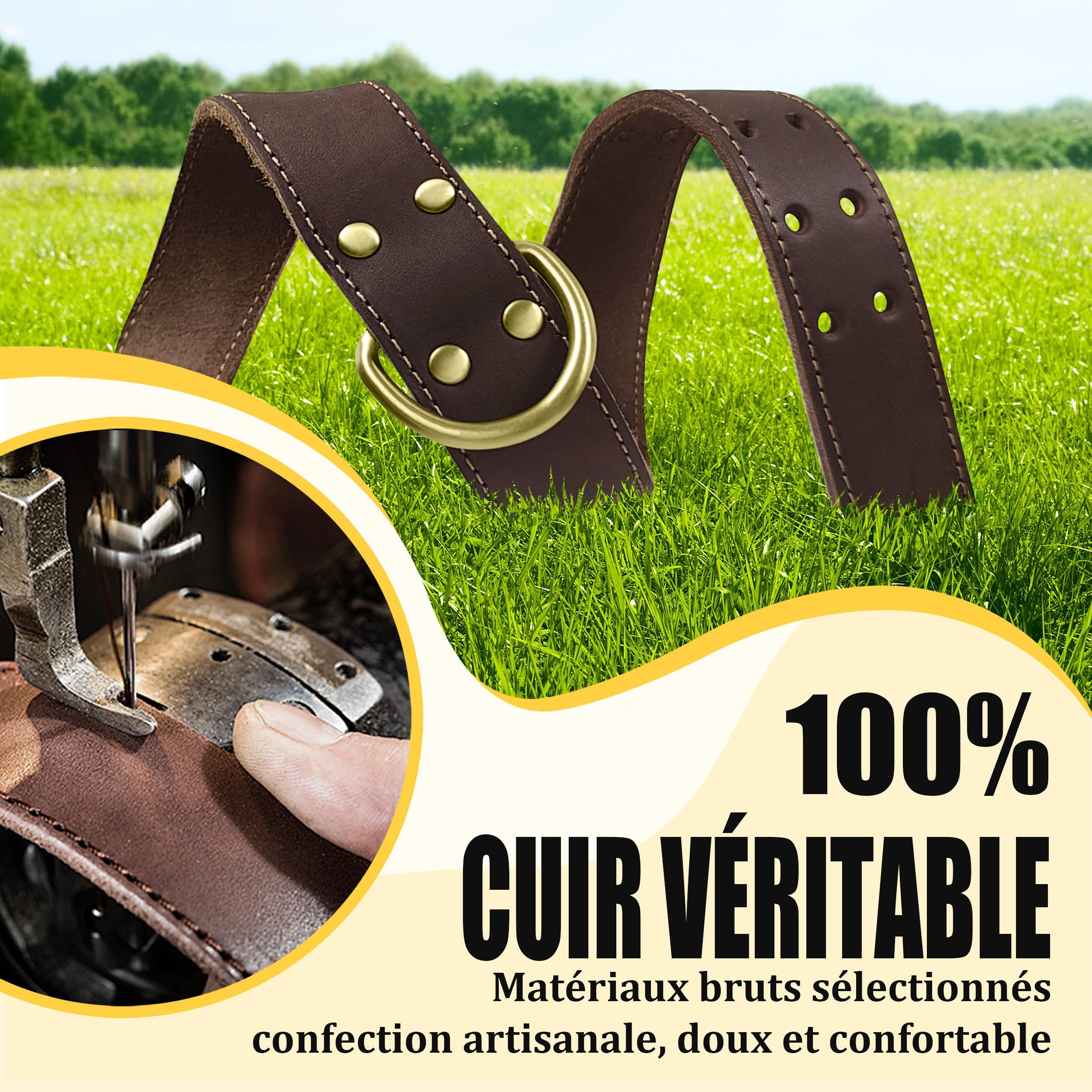 Collier en Cuir pour Grand Chien XXL – Extra Large & Résistant – Idéal pour Labrador, Golden Retriever & Berger Allemand – Cuir Souple avec Boucle en Métal Robuste