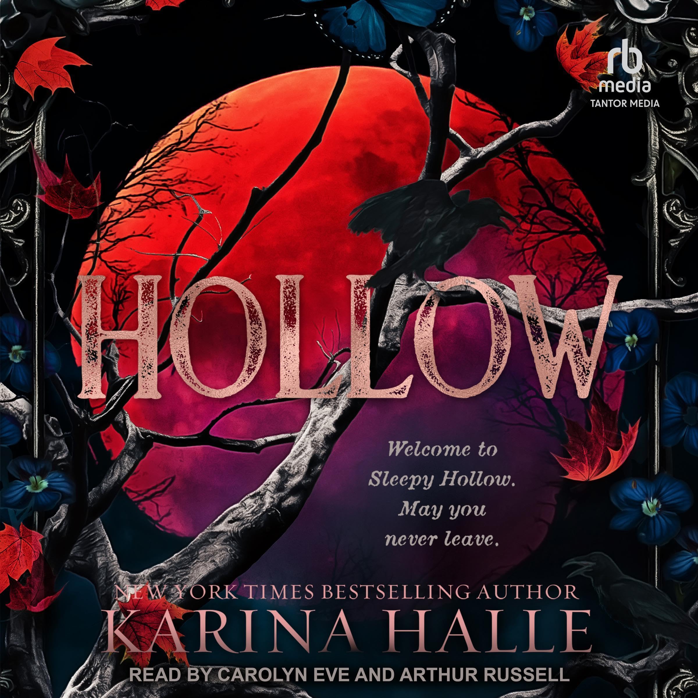 Cover art for Hollow