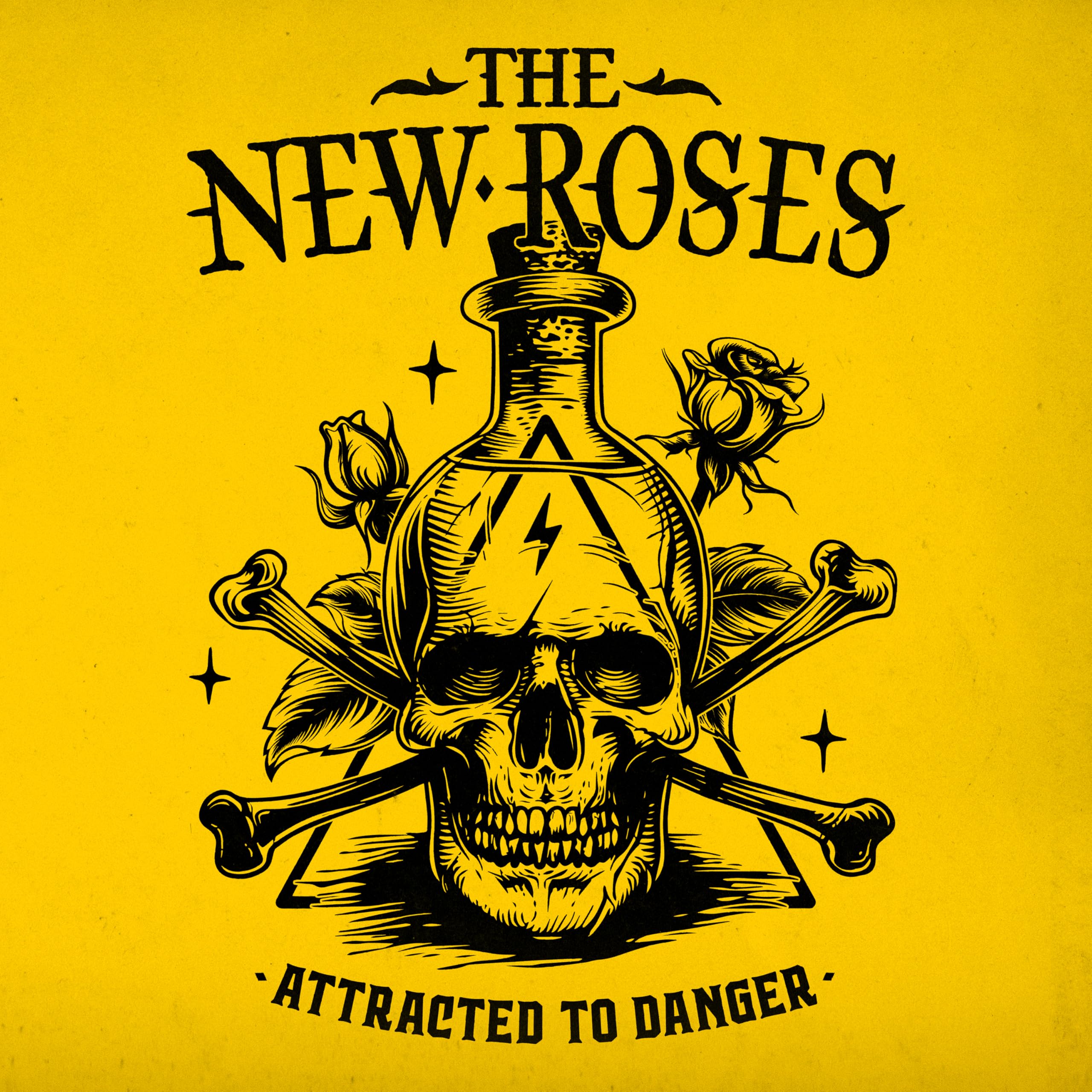Attracted To Danger [VINYL]