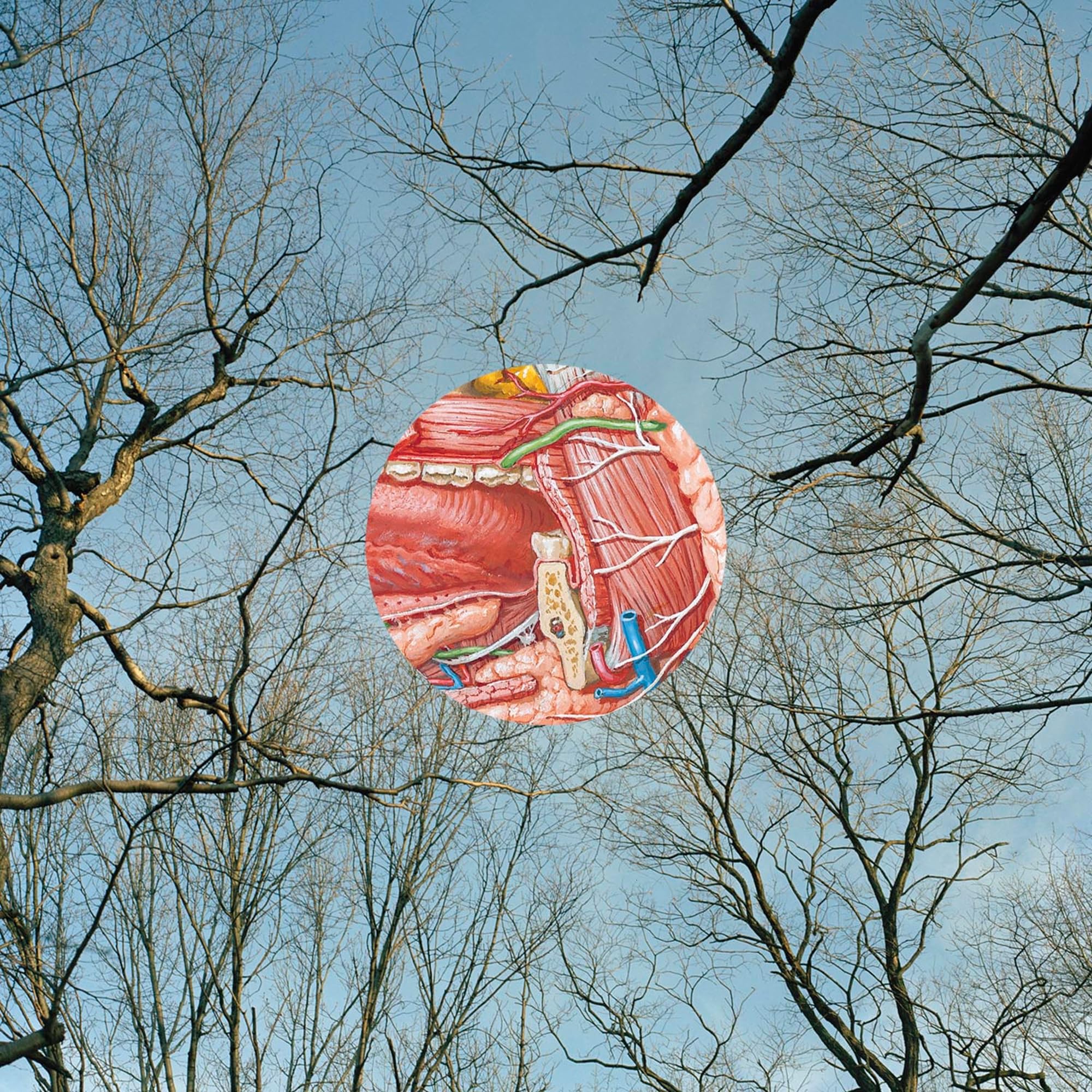 They Might Be Giants Glean (clear Vinyl With Red Wisps) LP New 738582016712