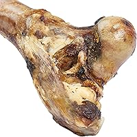 Vista 5 de EcoKind Dog Bone Giant Femur Bone for Dogs 1 Bone Long Lasting Mammoth Dog Bones for Aggressive Chewers, Rawhide Free Healthy Dog Treat, Large