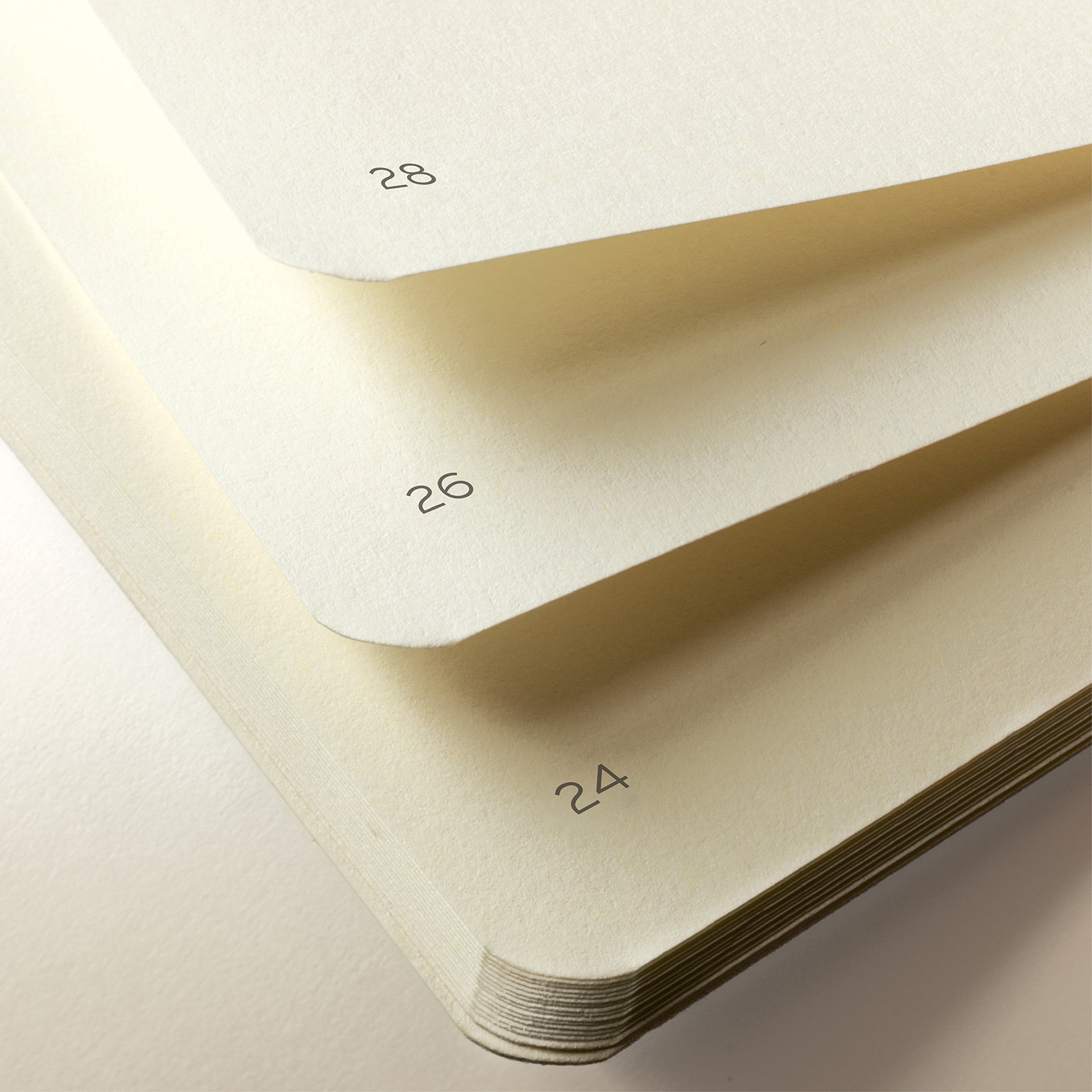 LEUCHTTURM1917 355531 Jottbook Medium (A5), 60 numaralı sayfa, boş, altın, ikili pakette