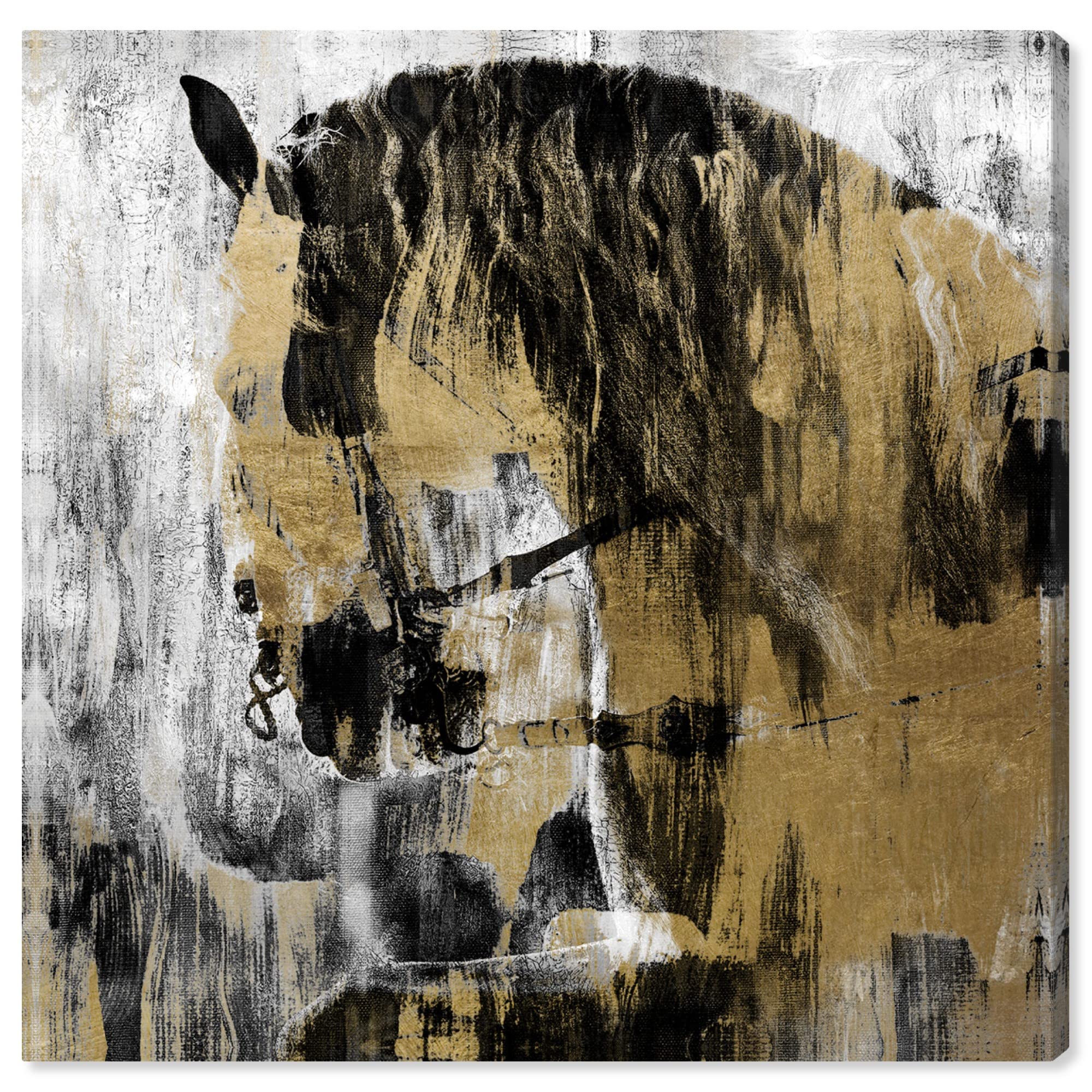 Country Farmhouse Canvas Print Painting Animal Wall Art 'Glamerous Gold Noir Horse' Unframed Gallery Wrapped Canvas Rustic Home Décor 30x30 in Gold, Black by Oliver Gal
