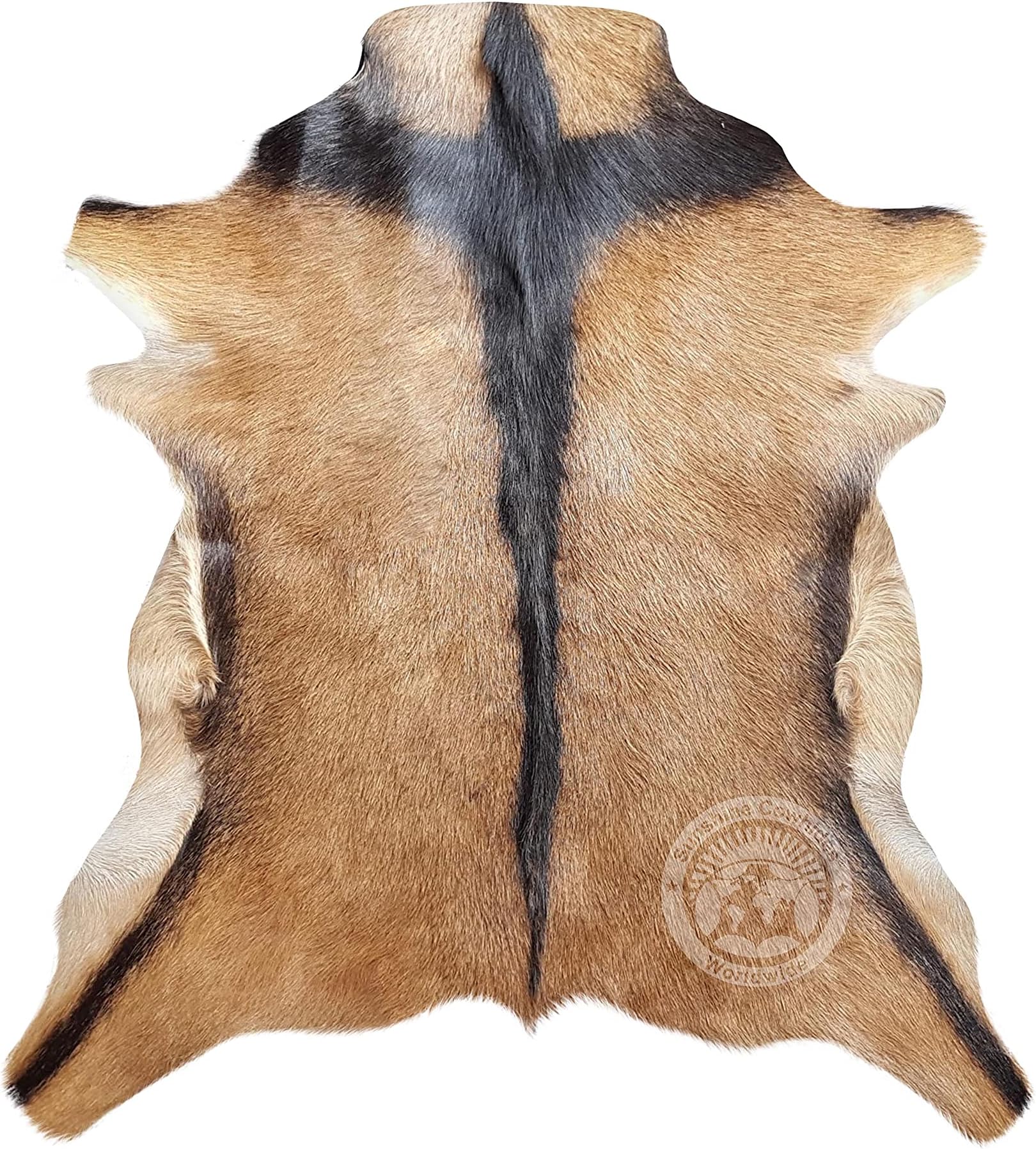 Sunshine Cowhides 100% Genuine Goat Hide Rug- Exotic Natural Suede Leather Goat Skin Carpet for Living Room, Bedroom, & Office - Animal Skin Rug for Home Decor Enthusiasts - Small (2.5 x 3 ft.)