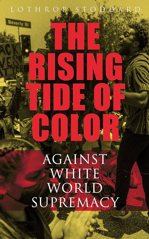 洋書 The Rise & Fall of King Cotton King Cotton in Modern