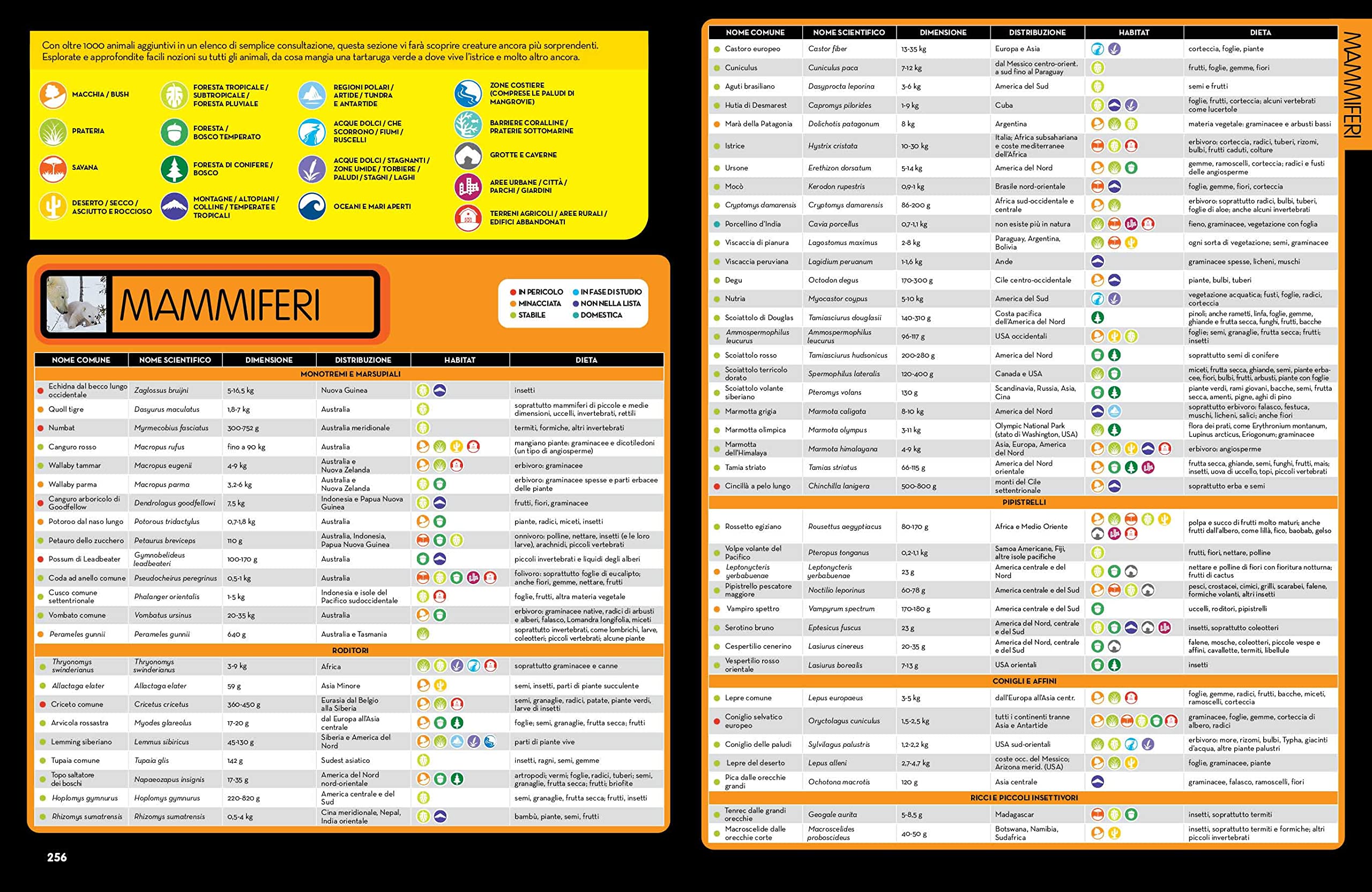 NATIONAL GEOGRAPHIC KIDS - La Grande Enciclopedia Degli Animali | Guida Illustrata per Bambini | Educazione e Divertimento | Scoperta della Fauna