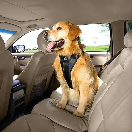 kurgo harness amazon