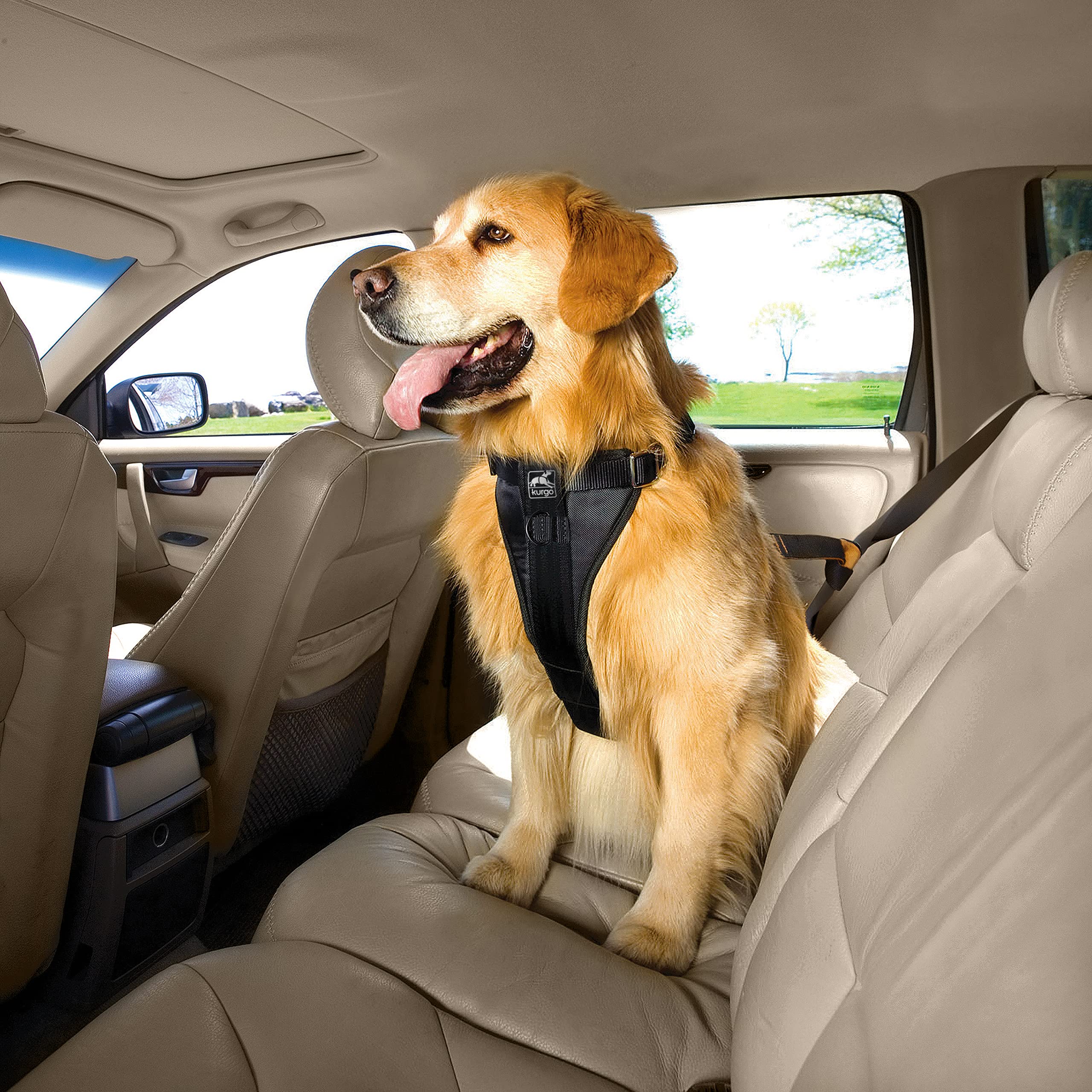 Kurgo Pettorina da auto per cani Tru-Fit per maggiore resistenza, imbracatura di sicurezza da viaggio per animali domestici, vestibilità certificata Crash Test, regolazione a cinque punti, fibbia di | Regolazione a Cinque Punti, Fibbia di Sicurezza