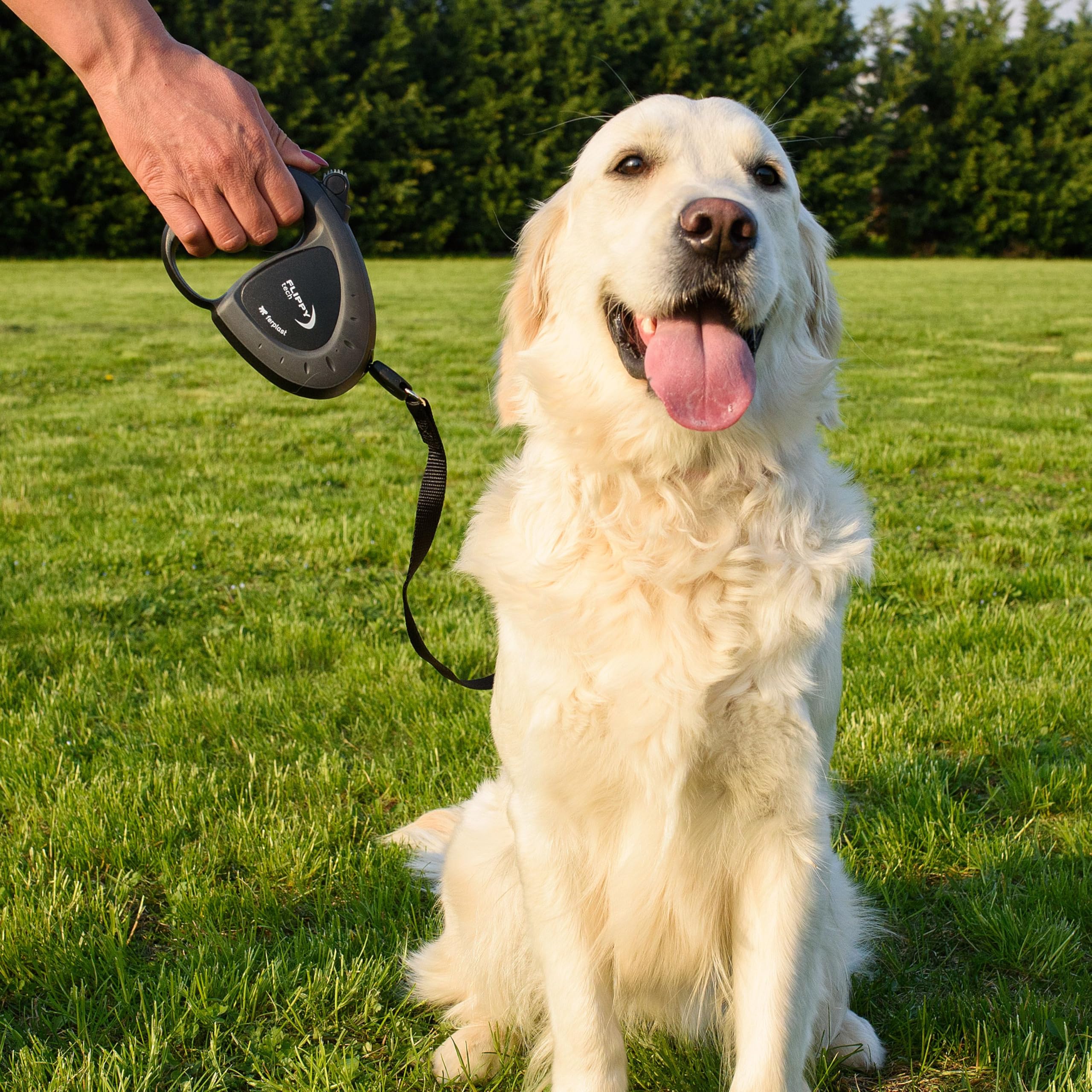 Ferplast Uitschuifbare hondenriem FLIPPY ONE, riem voor middelgrote honden tot 25 kg, uittrekbare riem max. 5 m. Enkele knop voor vergrendelen en ontgrendelen, lichtblauw Ferplast Uitschuifbare hondenriem FLIPPY ONE, riem voor middelgrote honden tot 25 kg, uittrekbare riem max. 5 m. Enkele knop voor vergrendelen en ontgrendelen, lichtblauw