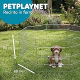 Ver la foto 2