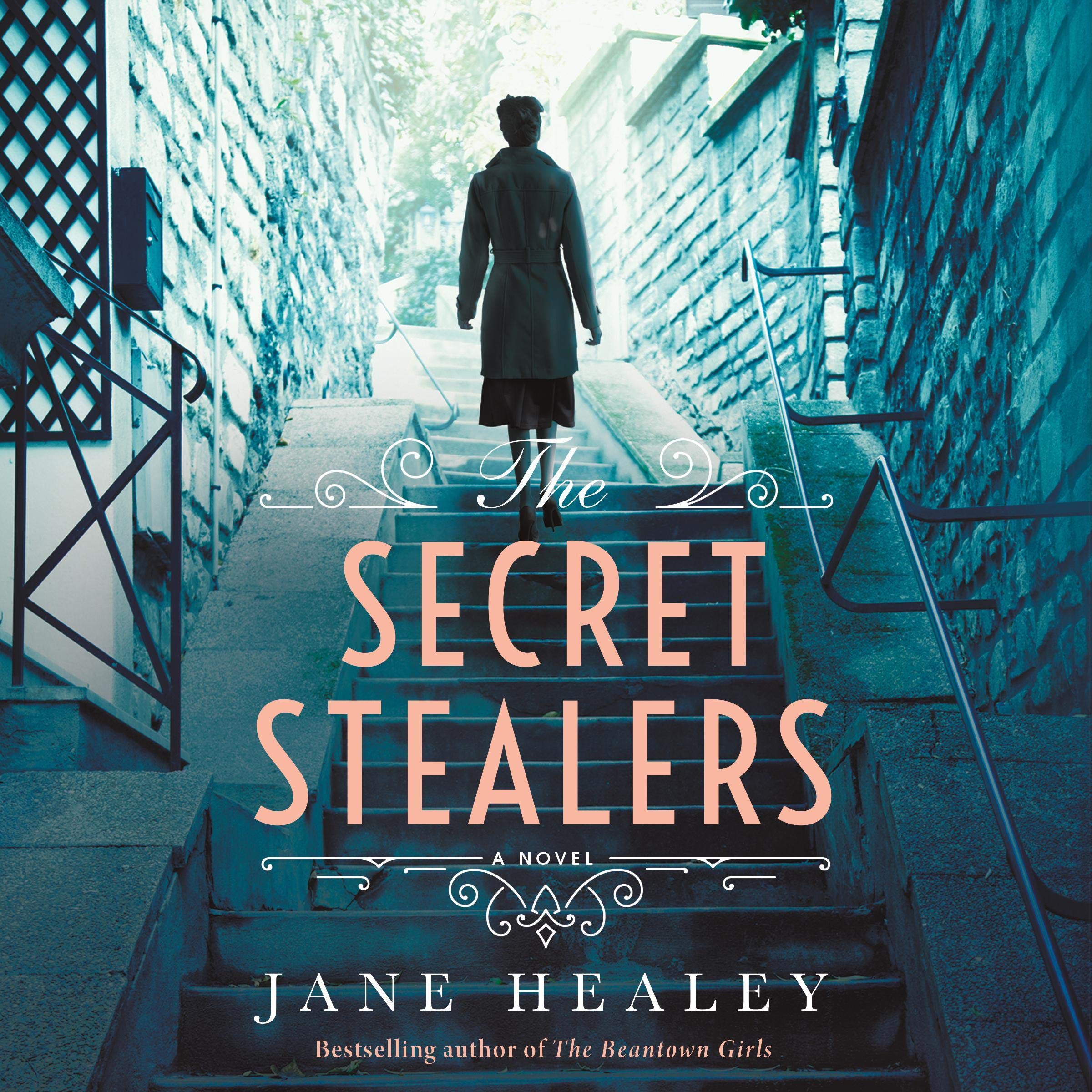 Cover art for The Secret Stealers