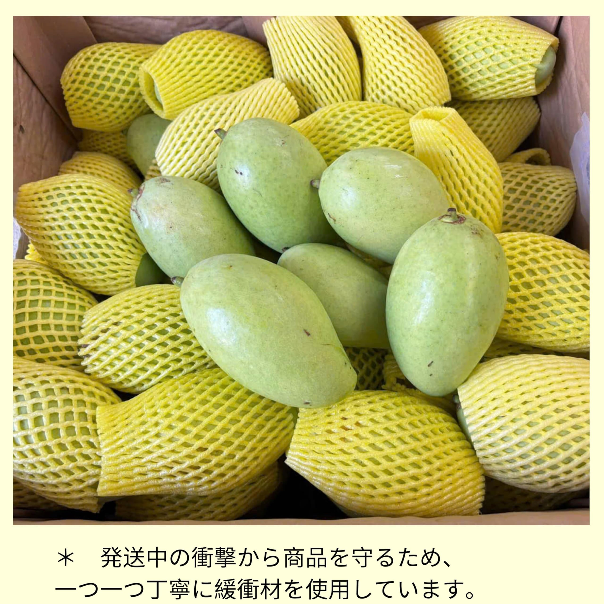 Amazon.co.jp: 【SAM&AIMEE STORE】ベトナム産 グリーンマンゴー 1