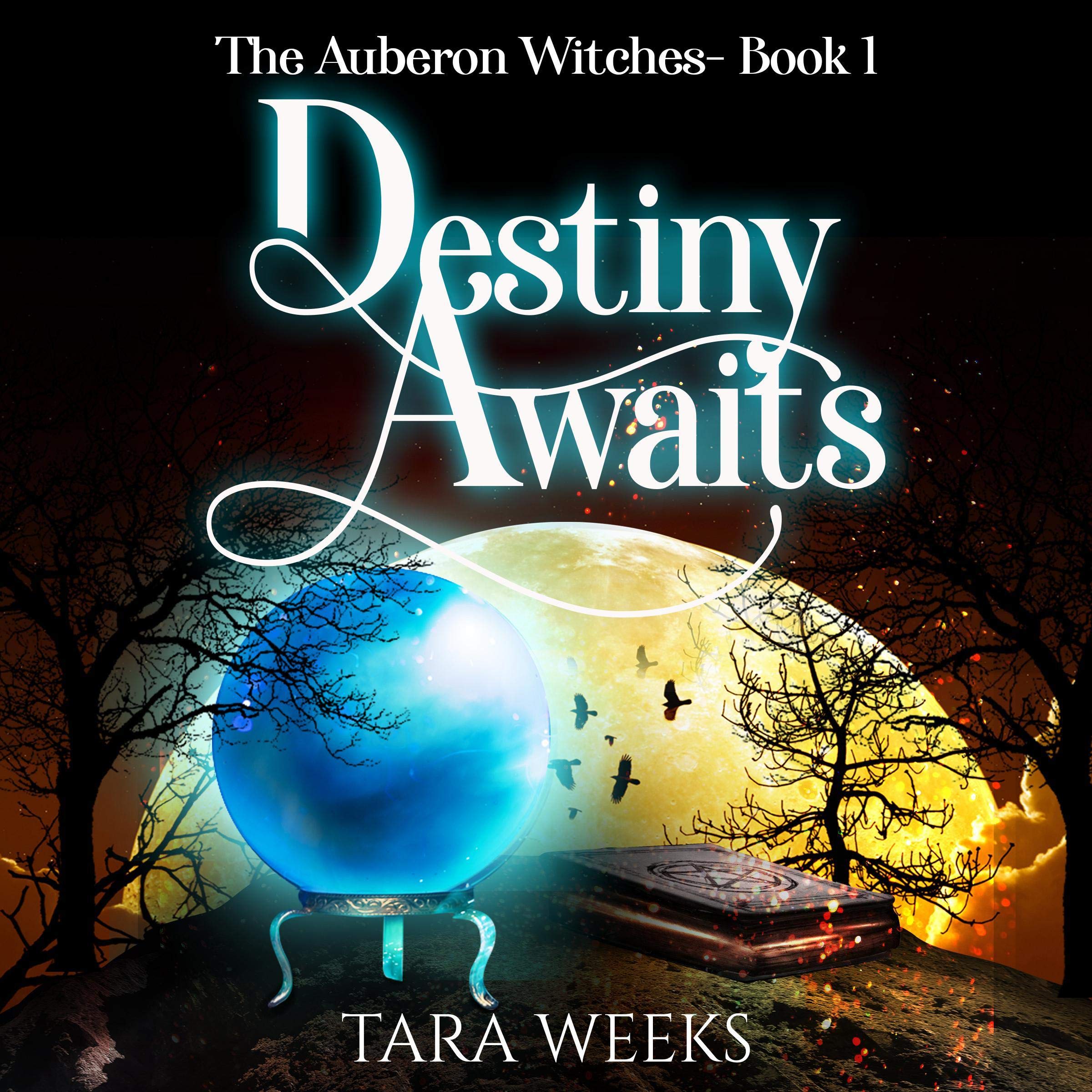 Cover art for Destiny Awaits