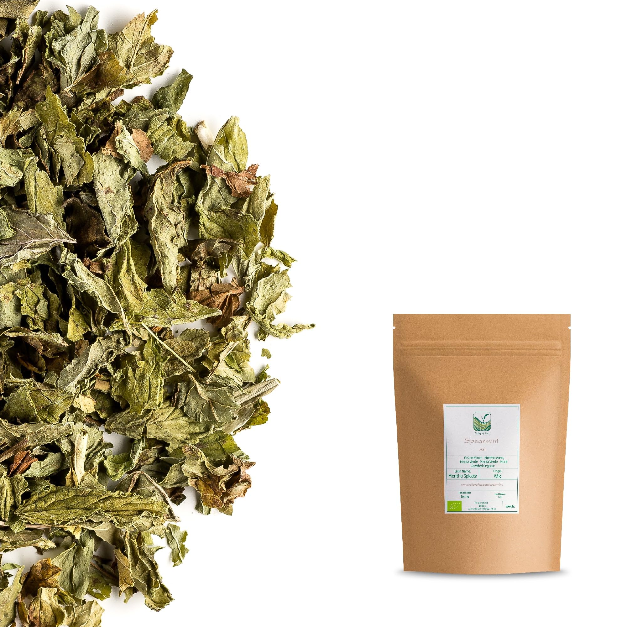 Mięta Kędzierzawa Sypana Bio - Duże Opakowanie Suszony Liść - Mentha